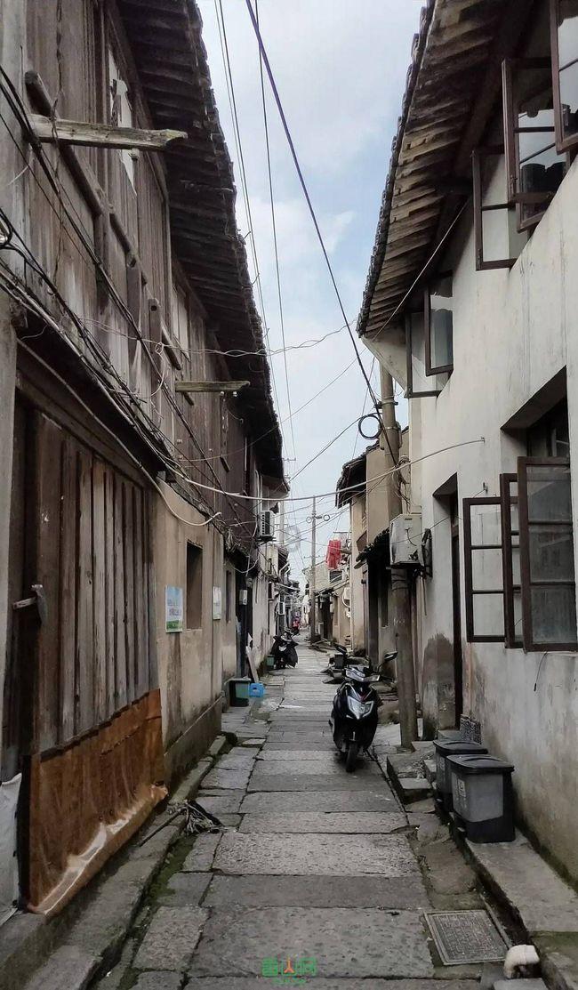 敬姜犹绩是什么意思和什么动物游戏画面